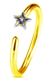 Women's Cute Style Nose Piercings