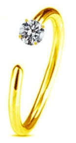 Women's Cute Style Nose Piercings