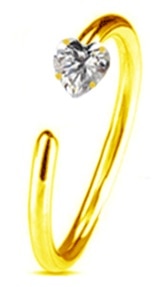 Women's Cute Style Nose Piercings